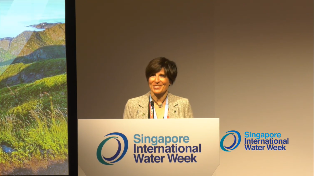Successful Application of Innovation and the Resilience in Urban Water Services